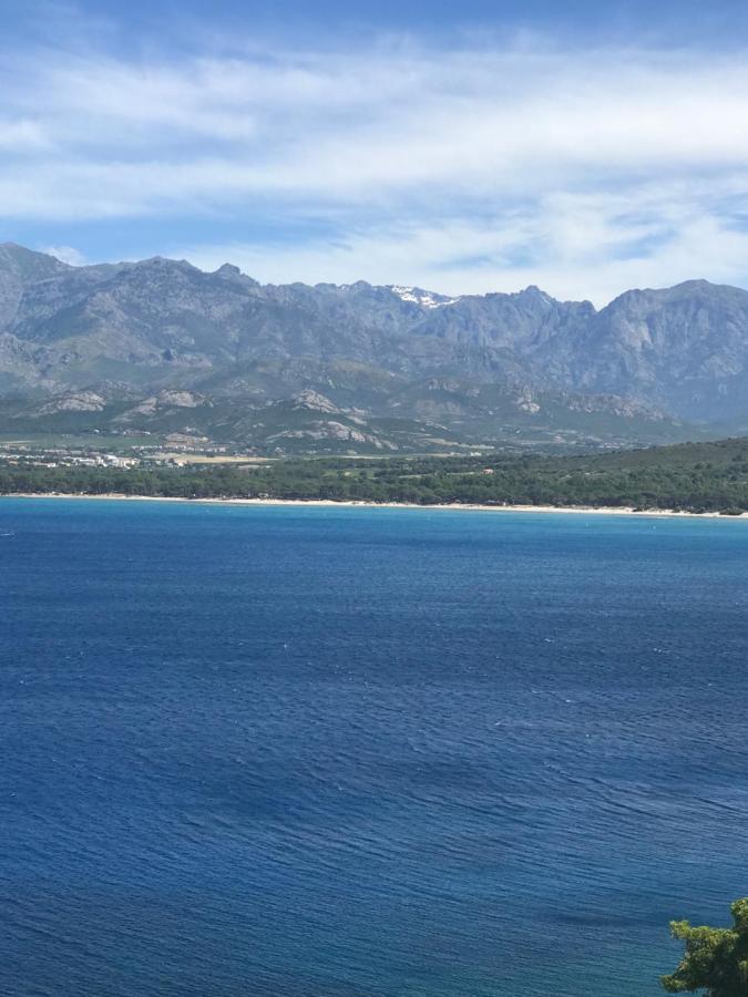 Duplex Renove Les Pieds Dans L'Eau Διαμέρισμα Καλβί Εξωτερικό φωτογραφία